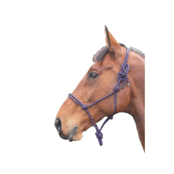 Shires Rope Horse Headcollar One Size Lila/Svart Purple/Black One Size