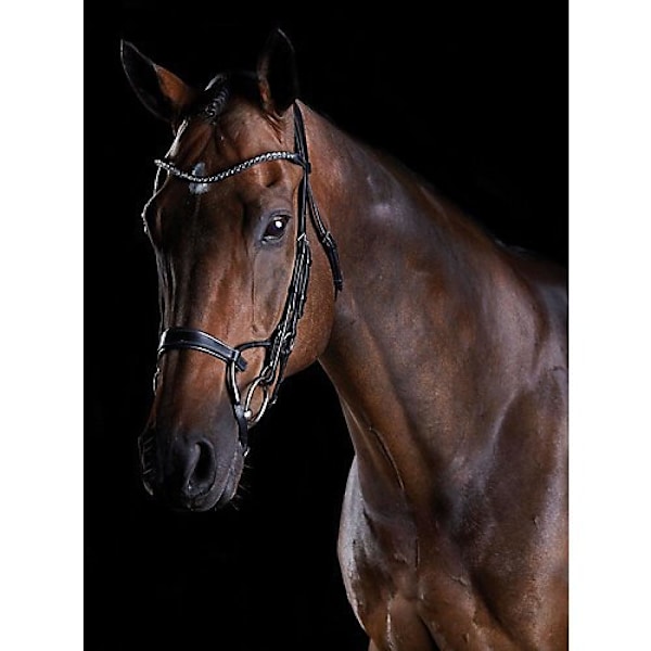 Collegiate Comfitec Kristall Läder Bridle Warmblood Brun Brown Warmblood