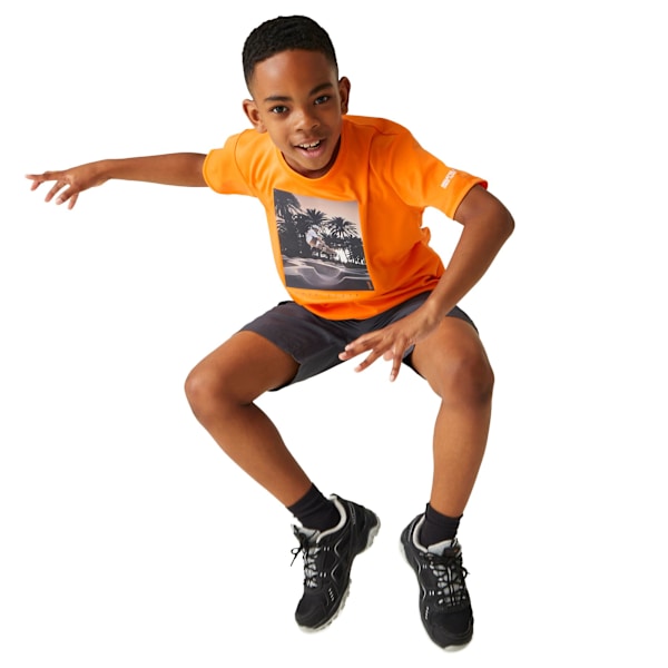 Regatta Barn/Barn Alvardo VIII Skateboard T-Shirt 3-4 År Persimmon 3-4 Years