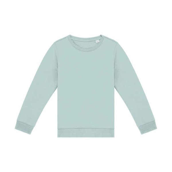 Native Spirit Barn/Flickor Sweatshirt 8-10 År Jadegrön Jade Green 8-10 Years