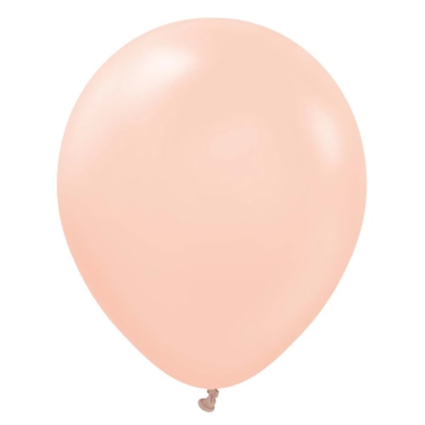 Kalisan Latex Macaron Ballonger (50-pack) Storlek Salmon Salmon One Size