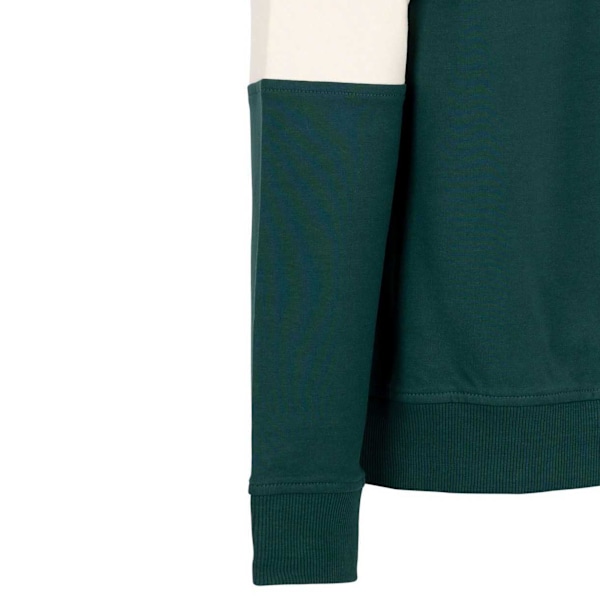Trespass Boys Antro Långärmad Sweatshirt 9-10 År Pine Pine 9-10 Years