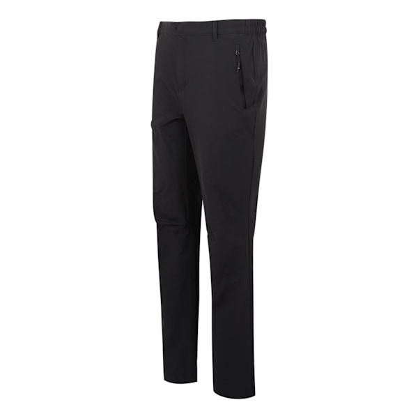Regatta Highton II Vandringsbyxor Herr 36S Ash Ash 36S
