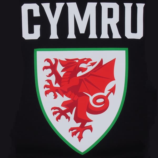 FA Wales Herr Grafisk Fleecetröja M Svart Black M