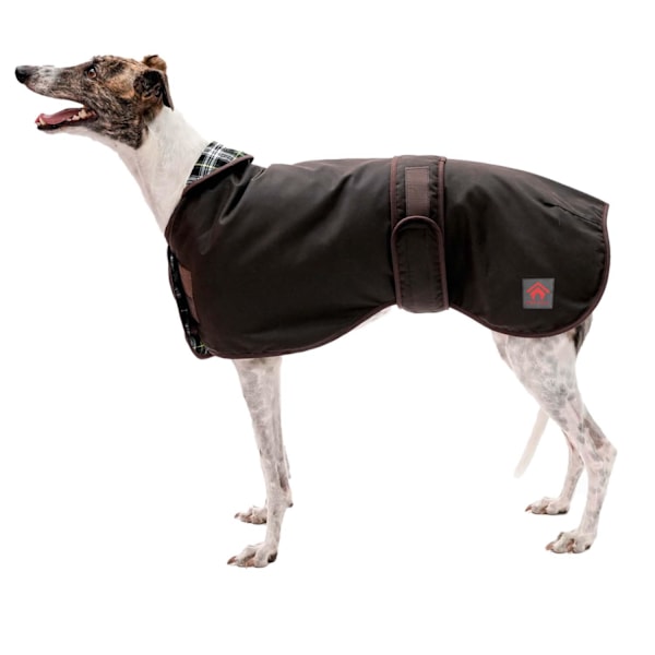 Firefoot Sighthound Vaxad Hundkappa 71cm Brun Brown 71cm