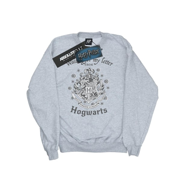 Harry Potter Boys Hogwarts Väntar På Mitt Brev Sweatshirt 9-11 Sports Grey 9-11 Years