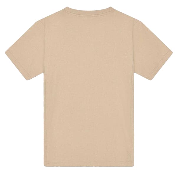 Nicce Herr Lettering Jersey Crew Neck Målvakts T-shirt M Grå Grey/Stone M