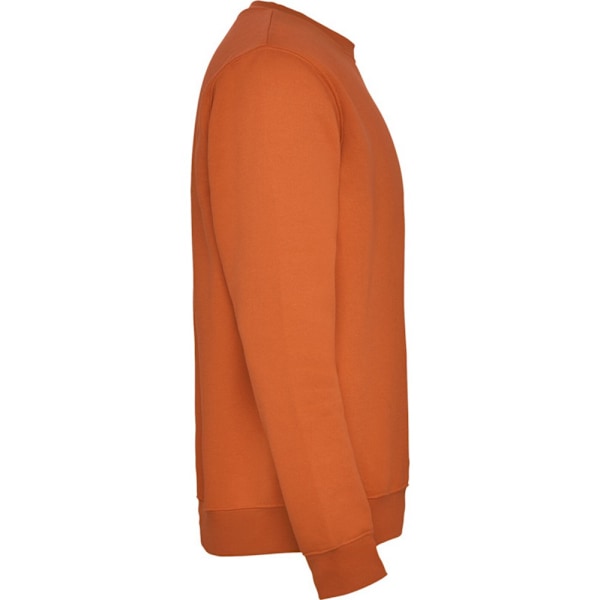 Roly Unisex Adult Clasica Crew Neck Sweatshirt 3XL Orange Orange 3XL