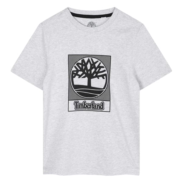 Timberland Pojkar Logotyp Regular T-Shirt 16 År Grå Grey 16 Years