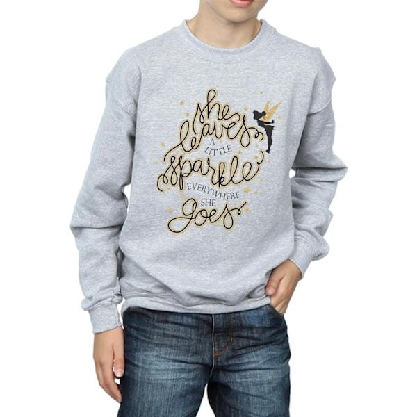 Disney Boys Tinkerbell Stars Sweatshirt 7-8 år Sports Grey Sports Grey 7-8 Years