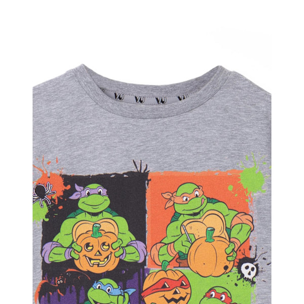 Teenage Mutant Ninja Turtles Barn/Barn Boo Crew Marl T-shirt för barn Grey 7-8 Years