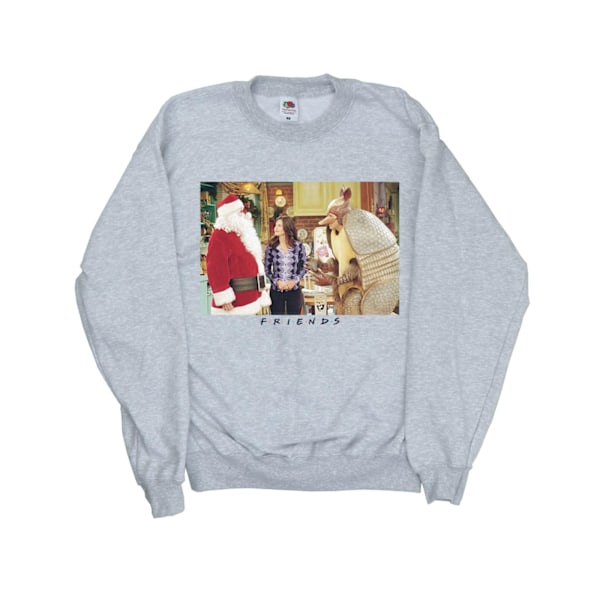 Friends Girls Christmas Armadillo Sweatshirt 9-11 år Sport Sports Grey 9-11 Years