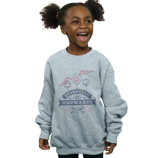 Harry Potter Quidditch på Hogwarts Sweatshirt för flickor 5-6 år S Sports Grey 5-6 Years