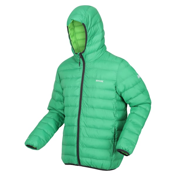 Regatta Marizion Vadderad Jacka med Huva för Män M Field Gree Field Green/Jasmine Green M
