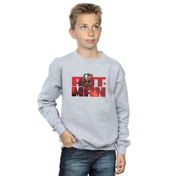 Marvel Boys Ant-Man Löpartröja 5-6 År Sports Grey Sports Grey 5-6 Years