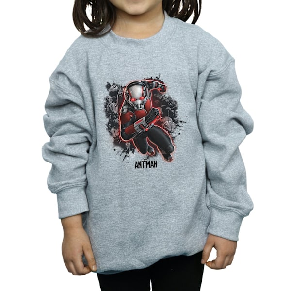 Marvel Girls Ant-Man Myror Löpartröja 5-6 År Sports G Sports Grey 5-6 Years