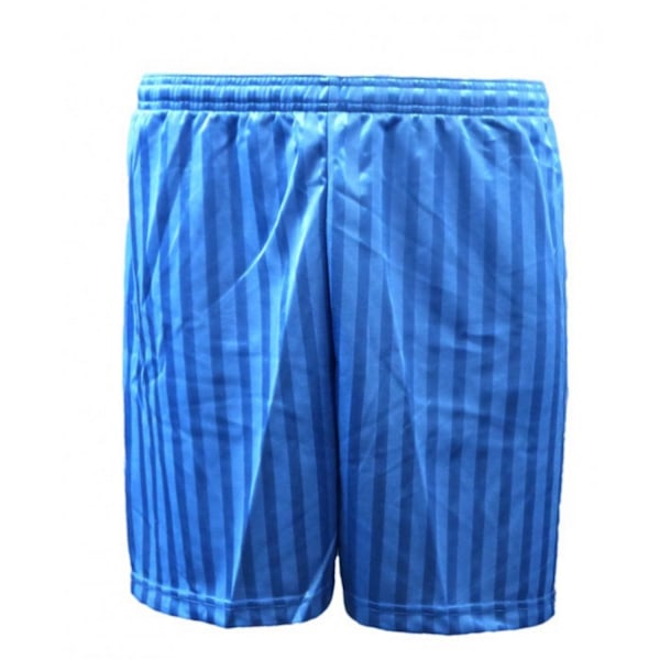 Carta Sport Unisex Adult Seriea Shorts 38in - 40in Royal Blue Royal Blue 38in - 40in