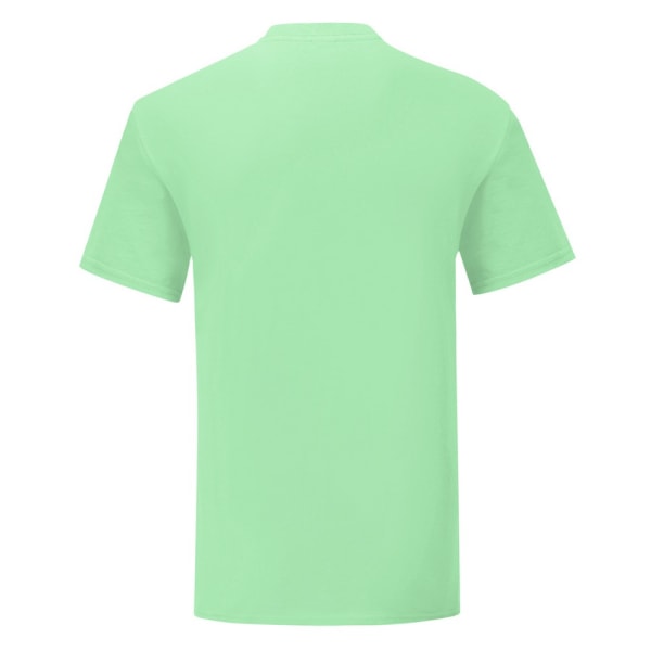 Fruit Of The Loom Herr Iconic T-Shirt S Neo Mint Neo Mint S