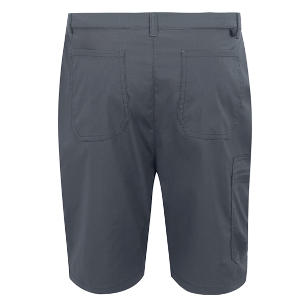 Regatta Dalry Multi Pocket Shorts 30R Seal Grey för män Seal Grey 30R