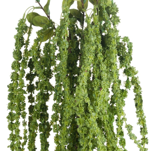 Hill Interiors Faux Amaranthus 1m Grön Green 1m