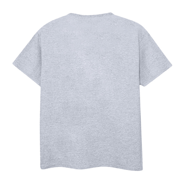 DC Comics Justice League Icons Cluster T-shirt XL Sports G Sports Grey XL