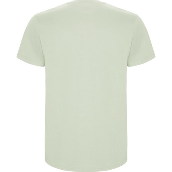 Roly Barn/Barn Stafford Kortärmad T-shirt 3-4 År Mi Mist Green 3-4 Years