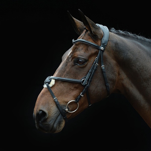 Collegiate Comfitec Grackle Läder Hästgrimma Cob Svart Black Cob