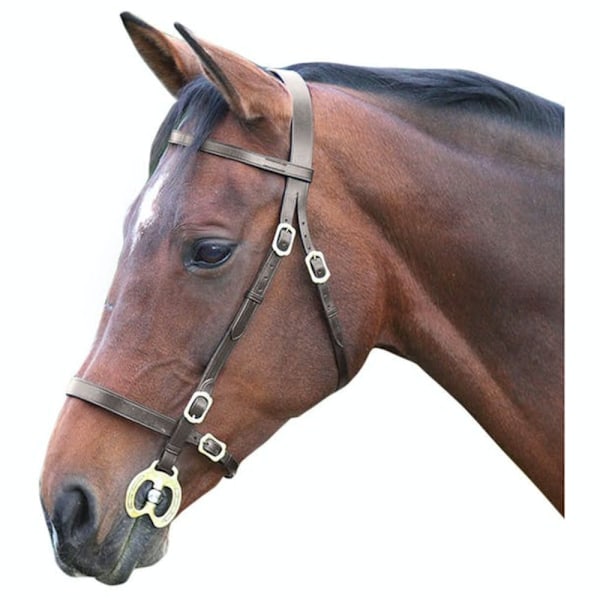 Blenheim Läder Plain Häst Inhand Bridle Pony Havana Havana Pony