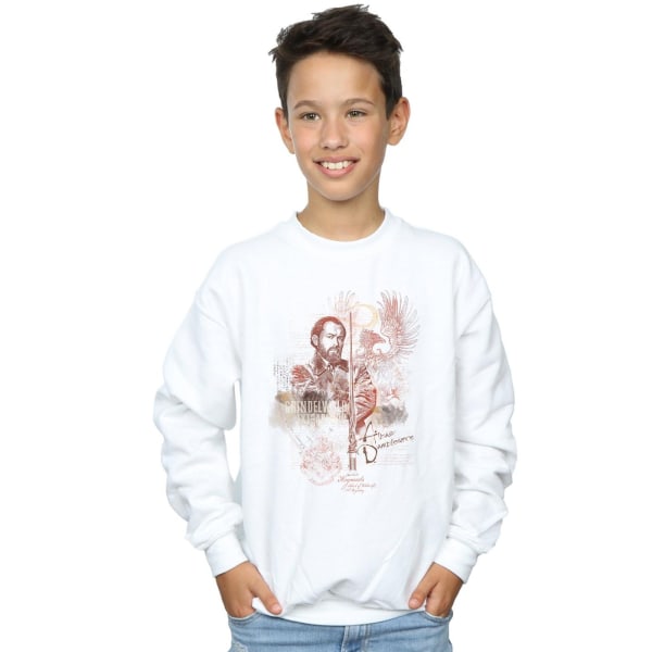 Fantastic Beasts Boys Albus Dumbledore Sweatshirt 12-13 år W White 12-13 Years