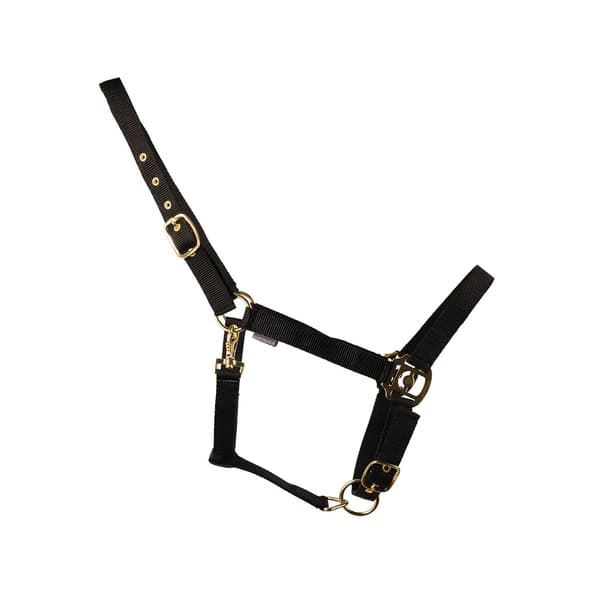 HYCONIC Hästgrimma Ponny Svart Black Pony
