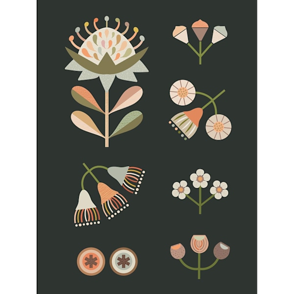 Lyndy Hants Australian Natives I Canvas Print 40cm x 30cm Multi Multicoloured 40cm x 30cm