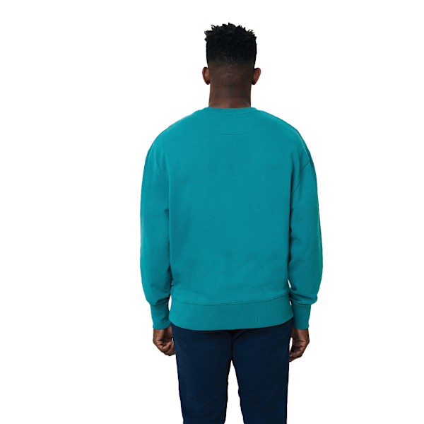Iqoniq Unisex Vuxen Kruger Återvunnen Bomull Rundhals Avslappnad Passform Verdigris XS