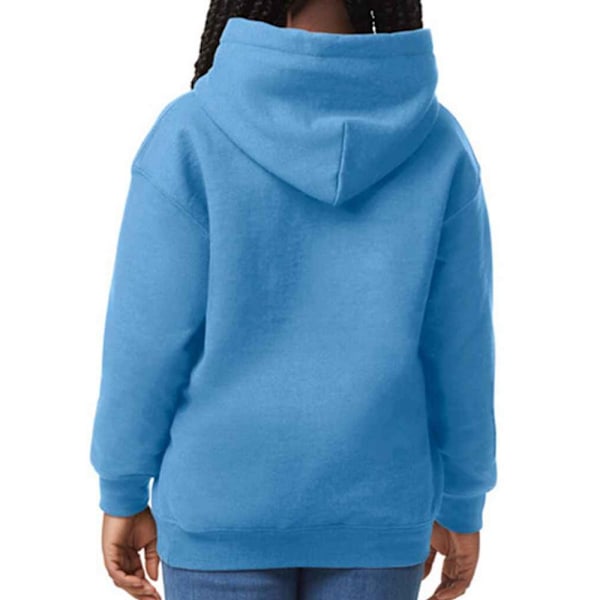 Gildan Barn/Barn Heavy Blend Hooded Sweatshirt 7-8 År C Carolina Blue 7-8 Years