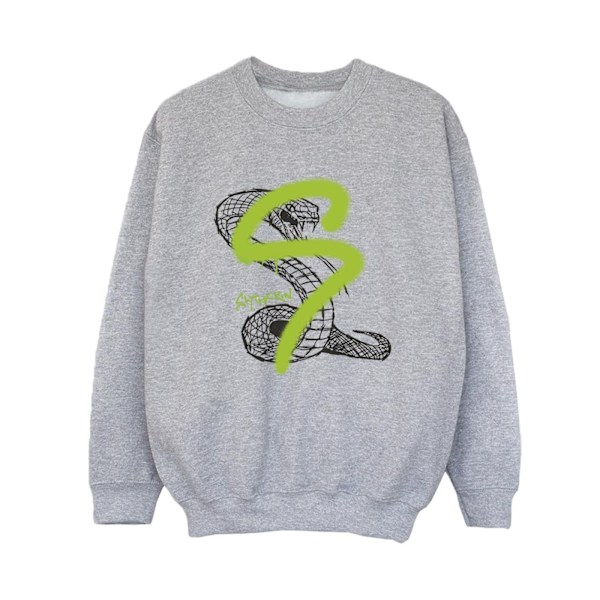 Harry Potter Boys Slytherin Pop Spray Sweatshirt 12-13 år Sp Sports Grey 12-13 Years