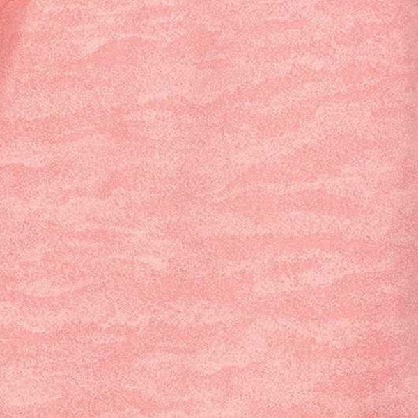 Trespass Dam/Kvinnor Livia TP75 Långärmad Aktiv Topp XL Pi Pink Shell XL