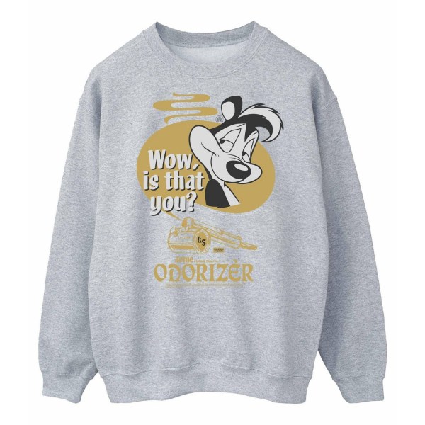 Looney Tunes Herr Odorizer Pepe Le Pew Sweatshirt 3XL Sports Gr Sports Grey 3XL