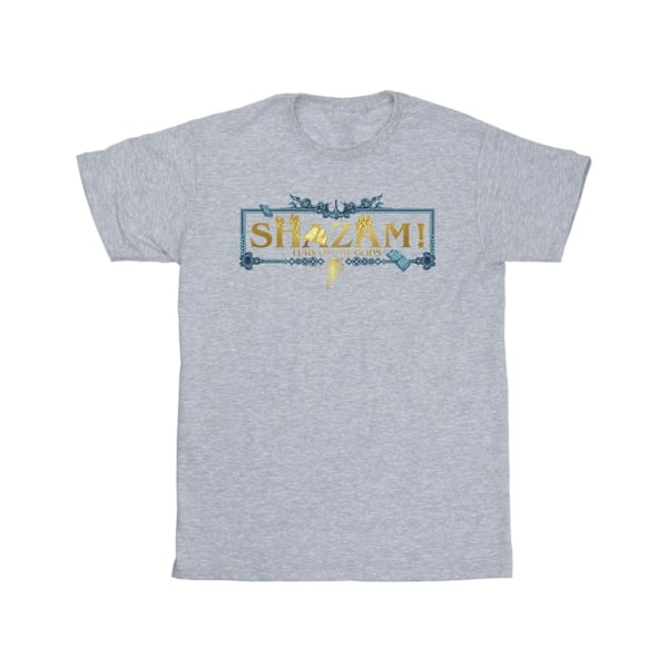 DC Comics Herr Shazam Fury Of The Gods Gyllene Logotyp T-shirt S Sp Sports Grey S