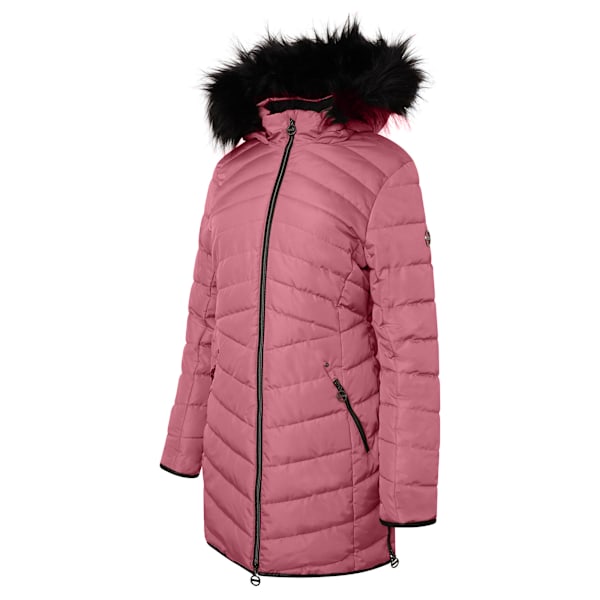 Dare 2B Dam/Dam Striking III Lång Vadderad Jacka 12 Mesa Rose 12 UK