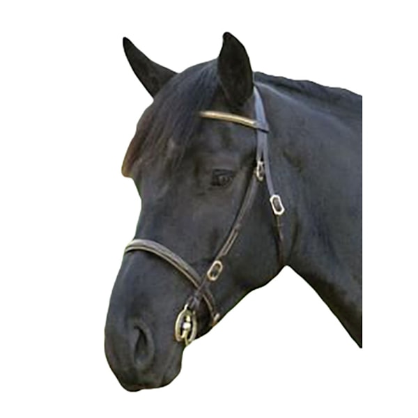Blenheim Läder Clincher Häst Inhand Bridle Cob Svart Black Cob