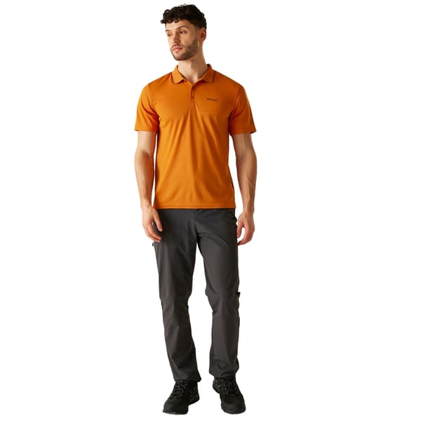 Regatta Herr Maverick V Active Pikétröja 3XL Fox/Ash Fox/Ash 3XL