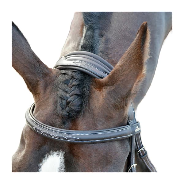 Collegiate Comfitec Opulux Vadderad Läder Stitch Hästträns P Black Pony