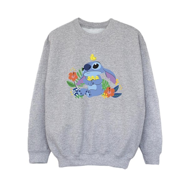 Disney Boys Lilo & Stitch Birds Sweatshirt 3-4 år Sports Grey Sports Grey 3-4 Years