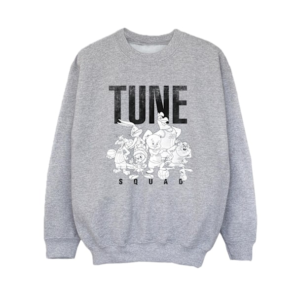 Space Jam: A New Legacy Boys Tune Squad Group Sweatshirt 12-13 Sports Grey 12-13 Years