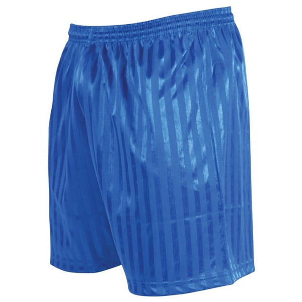 Precision Unisex Vuxen Continental Striped Fotbollsshorts XXL Royal Blue XXL