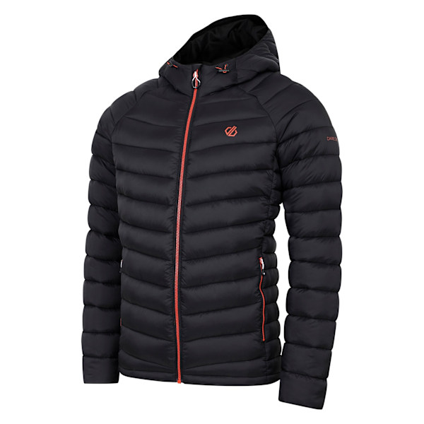 Dare 2B Torrek Mountain Vadderad Jacka för Män L Svart Black L