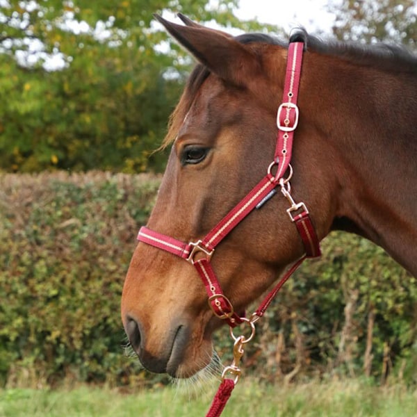 Hy Glitter Hästgrimma och Grimlina Liten Ponny Bordeaux Burgundy Small Pony
