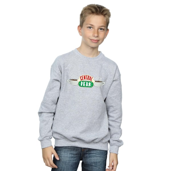 Friends Boys Central Perk Sweatshirt 12-13 år Sportgrå Sports Grey 12-13 Years