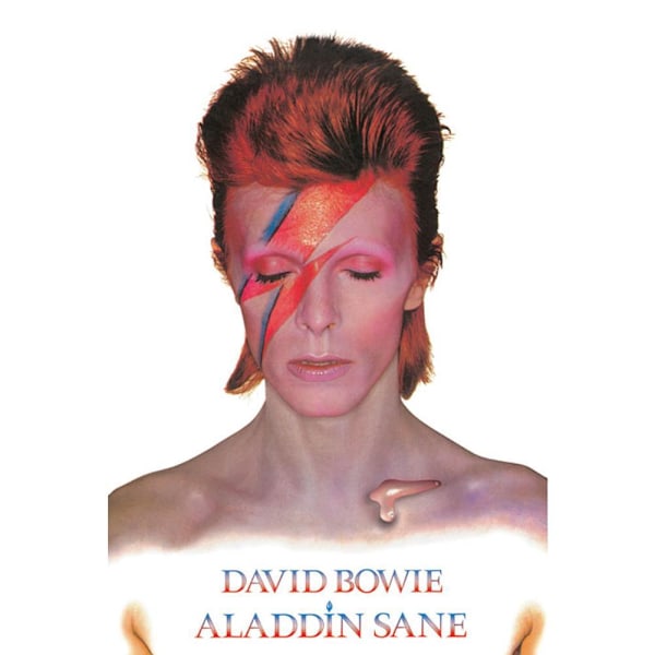 David Bowie Aladdin Sane Poster En Storlek Flerfärgad Multicoloured One Size