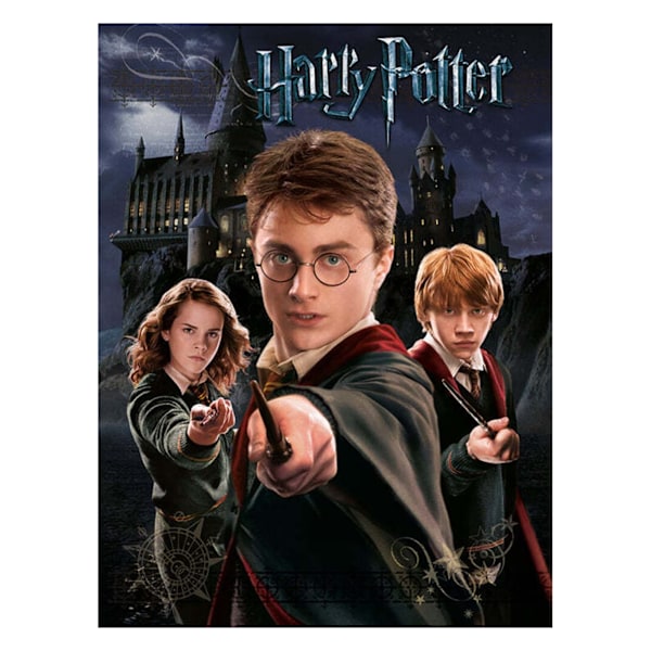Harry Potter Canvas Print 40cm x 30cm Grå/Svart Grey/Black 40cm x 30cm