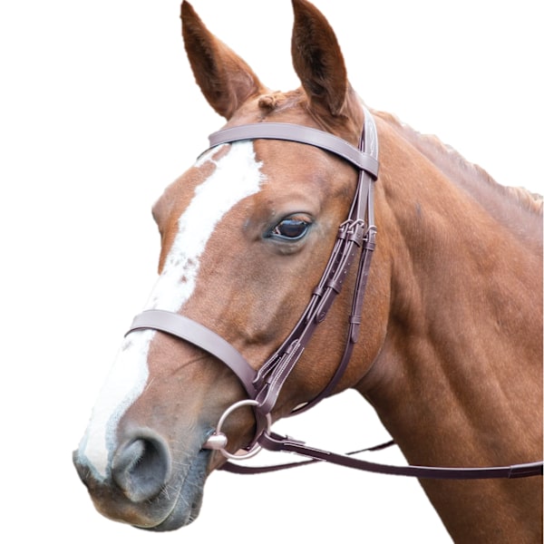 Avignon Hunter Läder Häst Cavesson Bridle X Full Havana Havana X Full